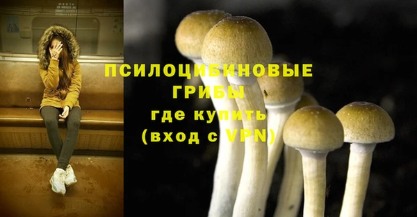 стаф Беломорск