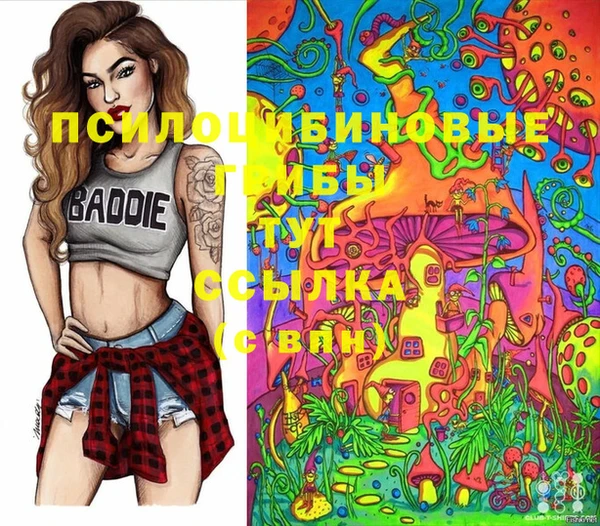 дживик Белоозёрский
