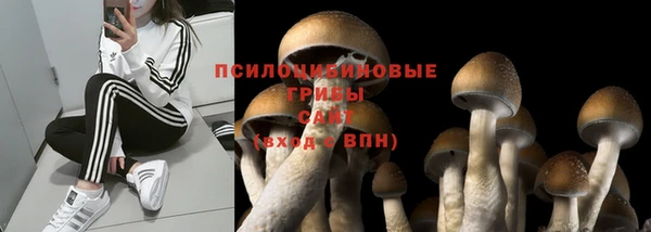 дживик Белоозёрский