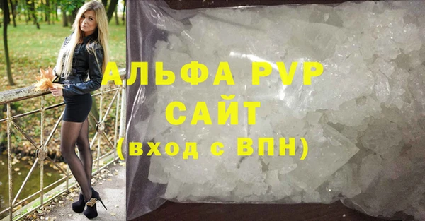 стаф Беломорск