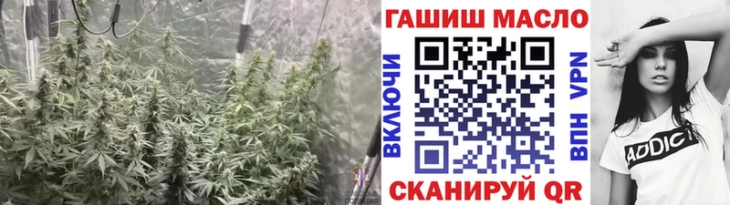 ТГК концентрат  hydra вход  Полесск 