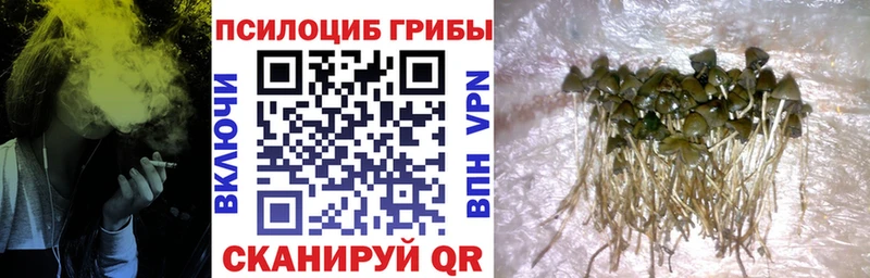 Галлюциногенные грибы прущие грибы  купить наркоту  Полесск 